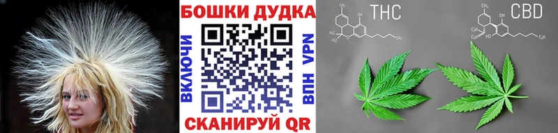 Где купить наркоту Мышкин Галлюциногенные грибы  Метадон  КЕТАМИН  A-PVP  Мефедрон  Канабис  Кокаин  Гашиш 
