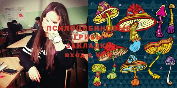 твердый Горно-Алтайск